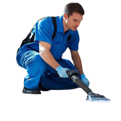 Local Carpet Cleaner In Aberdeen Local Carpet Cleaner In Aberdeen